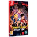 Clear River Games Switch Double Dragon Collection