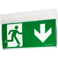 CEAG ( Safeexit ) F1 at escape sign