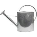 Home It Watering Can with Spreader 10 liters Galvanized