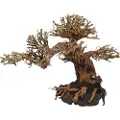4FISH Trærødder, Peaceful Bonsai, 30x15x23 cm