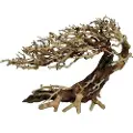 4FISH Trærødder, Elegant brasilian tree, 70x23x50 cm