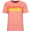 Superdry Vintage Scripted Infill T-skjorte
