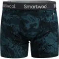Smartwool Merino Print Boxed Boxers