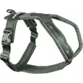 NON STOP Line 50 Hundesele
