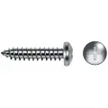 Celo 7981 4.8x38 Philips Stjerneskrue Med Rundt Hode For Metallplate 500 Enheter