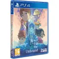 Teknikproffset A Space for The Unbound - Sony PlayStation 4 - Eventyr