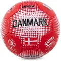 ASG Denmark Football size 5