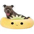 Squishmallows Maui The Pineapple Seng