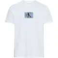 Calvin Klein for man. LV04RC854G T-shirt 30s Box Graphic white (L), Casual, Cotton, Short sleeve