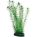 Usorteret Dohse Lagarosiphon, 20 cm