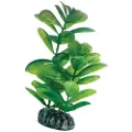 Usorteret Dohse Saururus, 16 cm