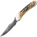 Bear & Son Caper India Stag kniv