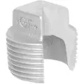 +GF+ Plug plain galvanized 3/4"