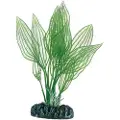 Usorteret Dohse Aponogeton, 16 cm