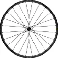 Mavic Crossmax Sls 29´´ 6b Disc Terrengsykkel Forhjul