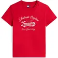 Tommy Hilfiger for woman. DW0DW21404 Essential T-shirt red (XS), Casual, Short sleeve, Organic Cotton, Sustainable