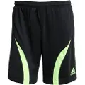 Adidas Originals Teamgeist Adicolor Shorts