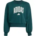 Adidas Seasonals Essentials Collegiate Typography Crewneck Collegegenser