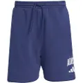 Adidas Collegiate Shorts