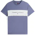 Tommy Hilfiger Linear Logo Regular Fit Kortarmet T-skjorte