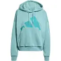 Adidas Essentials Big Logo French Terry Loose Hettegenser
