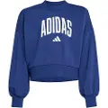 Adidas Seasonals Essentials Collegiate Typography Crewneck Collegegenser