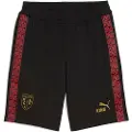 Puma RC Lens KING Sweat Shorts Men, Sport, Black/Matte Gold, L