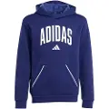 Adidas Seasonals Essentials Collegiate Typography Hettegenser
