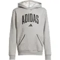 Adidas Seasonals Essentials Collegiate Typography Hettegenser
