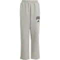 Adidas Seasonals Essentials Collegiate Typography Bukser