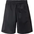 Adidas Originals Adicolor Firebird Shorts