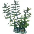 Usorteret Dohse Bacopa, 13 cm