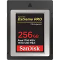 SanDisk Extreme Pro - Flashminnekort - 256 GB - CFexpress