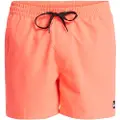 Quiksilver Everyday Solid Volley 15 Boardshorts mønster