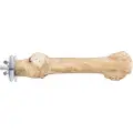Trixie Perch with screw attachment, coffee wood, 20 cm/ø 20–30 mm