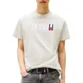 Tommy Hilfiger for man. DM0DM21941 Round neck T-shirt with green logo (M), Casual, Short sleeve, Organic Cotton, Sustainable