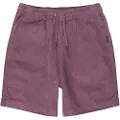 Quiksilver Taxer Cord Shorts