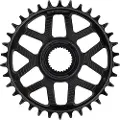 E*thirteen Helix Race E-spec Bosch Gen4 Kjettingring