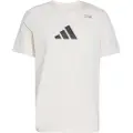 Adidas Climacool Category Training Graphic Kortarmet T-skjorte