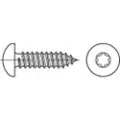 Toolcraft 145168 Linse kærvskruer 4.8 mm 22 mm T-profil DIN 7981 Stål Galvaniseret 500 stk