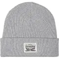 Levis Accessories Backpatch Lue