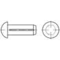 Toolcraft 136504 Halvrundt rillet søm (Ø x L) 1.6 mm x 4 mm Stål 500 stk