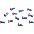 Sram Rotor Bolt Titanium T25 Krankarm Skrue Sett 12 Enheter