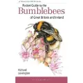 BLOOMSBURY Pocket Guide to the Bumblebees of Great Britain and Ireland