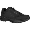 Lowa Renegade Evo Goretex Lo Tursko