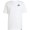 Adidas Yay Sports Verbiage Graphic Kortarmet T-skjorte
