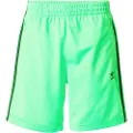 Adidas Originals Adicolor Firebird Shorts