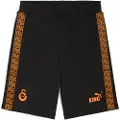 Puma Galatasaray SK KING Sweat Shorts Men, Sport, Black/Red Rhythm/Intense Orange, XS