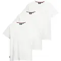 Superdry Essential Logo Embroidered Kortarmet T-skjorte 3 Enheter