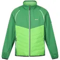 Regatta Steren Hybrid Softshelljakke
